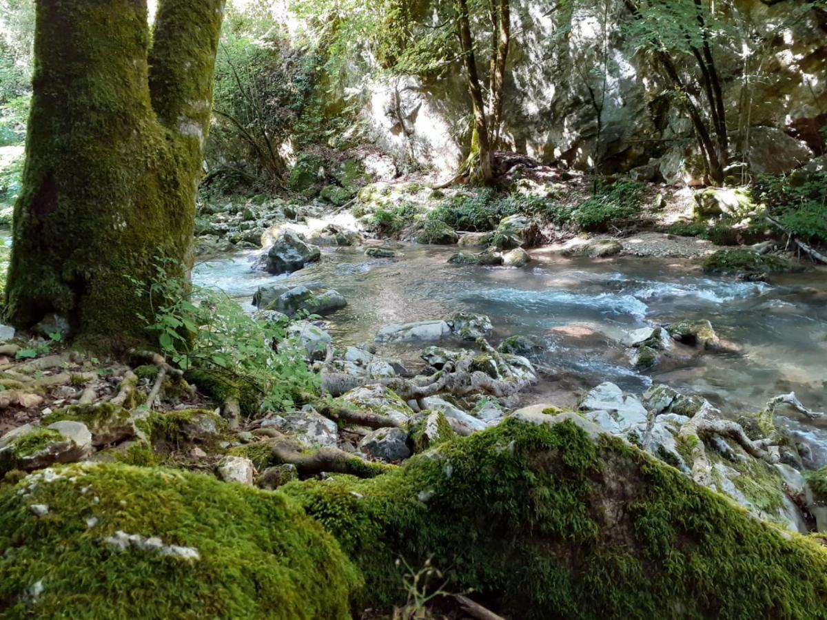 Casetta Nel Borgo Olevano Romano ภายนอก รูปภาพ