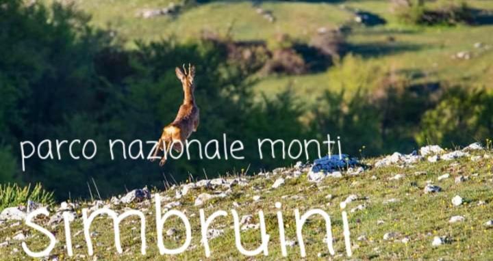 Casetta Nel Borgo Olevano Romano ภายนอก รูปภาพ
