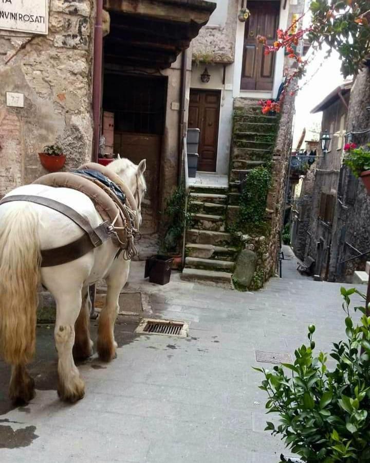 Casetta Nel Borgo Olevano Romano ภายนอก รูปภาพ