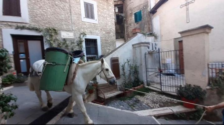 Casetta Nel Borgo Olevano Romano ภายนอก รูปภาพ