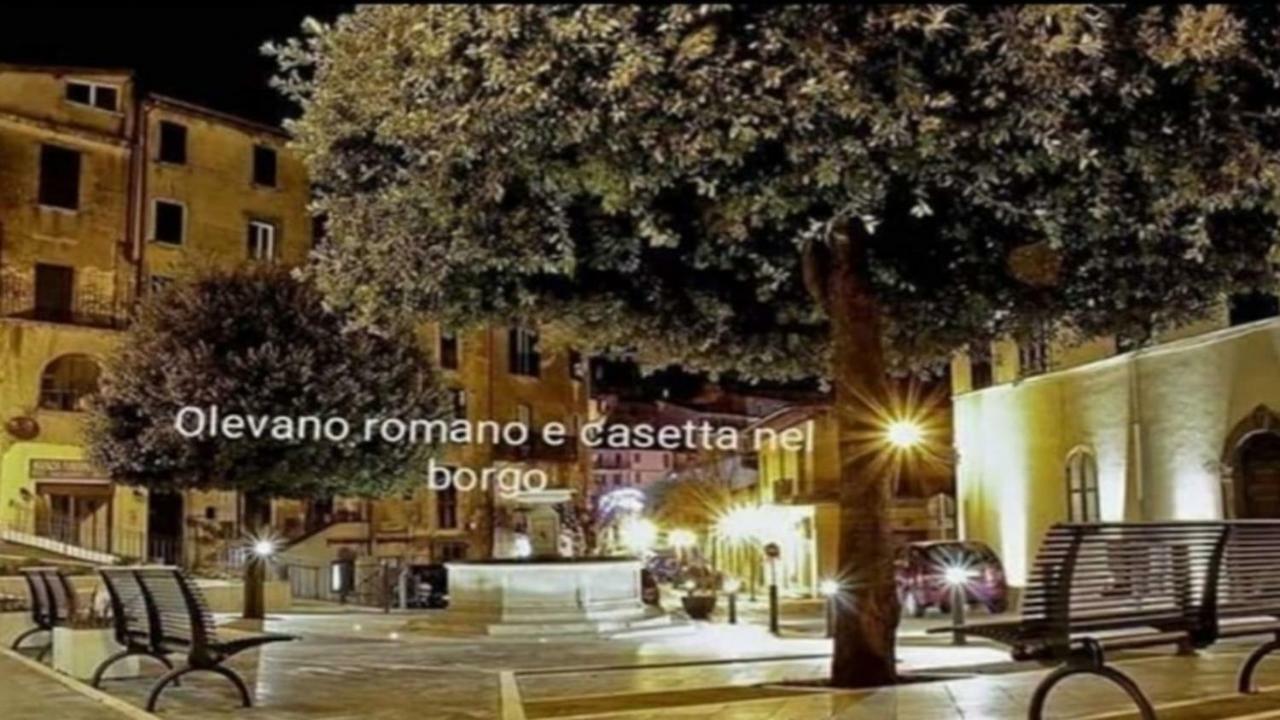 Casetta Nel Borgo Olevano Romano ภายนอก รูปภาพ